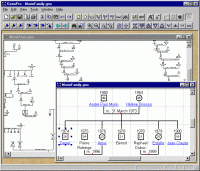 GenoPro (โปรแกรม GenoPro สร้างแผนภาพวงศ์ตระกูล) : 