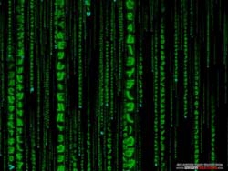 Matrix Code 3D Screen Saver (สกรีนเซฟเวอร์ เดอะเมทริกซ์ แบบ 3 มิติ) : 