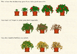 DesktopPlant (ปลูกต้นไม้บนคอมฯ)