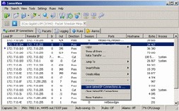 CommView (โปรแกรม สำหรับ ตรวจตรา กิจกรรมบน Internet และ Lan)