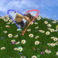 3D Valentines Day Screensaver (โปรแกรม พักหน้าจอ ของวันแห่งความรัก)