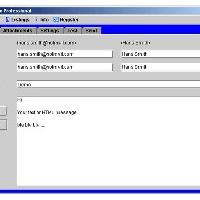 Postman Professional