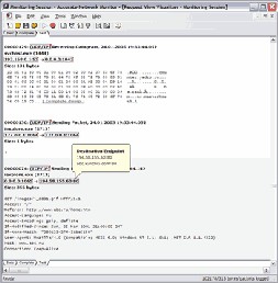 Accurate Network Monitor