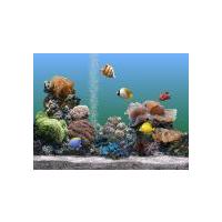 3D Aquarium Screensaver