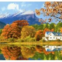 Gorgeous Fall Foliage 3D Screensaver