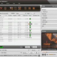 ImTOO DVD Ripper Platinum
