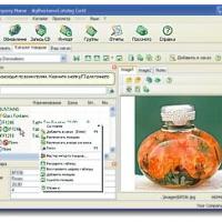 MyBusinessCatalog Gold