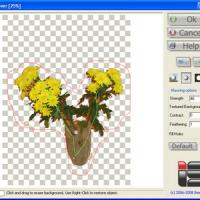Background Remover (Plug-In ของโปรแกรม Photoshop)