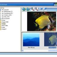 Free Image Viewer InDepth