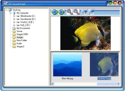 Free Image Viewer InDepth