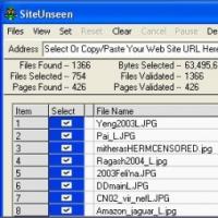 SiteUnseen (โปรแกรม สำหรับ วิเคราะห์เนื้อหา เว็บไซต์)