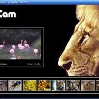 EyeLink Zoo (โปรแกรมนี้จะพาคุณๆ ไปเที่ยวสวนสัตว์กัน)