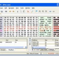 FlexHEX (โปรแกรมสำหรับแก้ไขไฟล์ที่มีขนาดใหญ่)