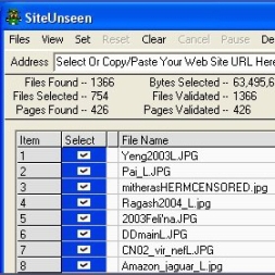 SiteUnseen (โปรแกรม สำหรับ วิเคราะห์เนื้อหา เว็บไซต์)