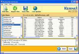 Kernel Access - Corrupt Database Repair