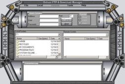 Robust FTP And Download Manager (โปรแกรมรับส่งไฟล์ ดาวน์โหลดไฟล์) : 