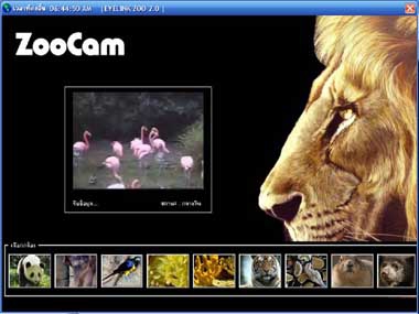EyeLink Zoo (โปรแกรมนี้จะพาคุณๆ ไปเที่ยวสวนสัตว์กัน)