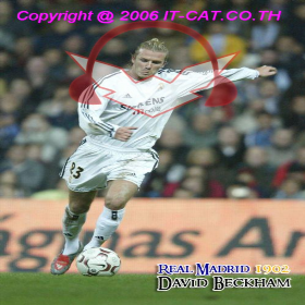 IT-Cat Watermark (แทรกลายน้ำ เพิ่มข้อความ เปลี่ยนรูปเป็นโทนขาวดำ ในรูป) : 