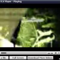 Easy FLV Player