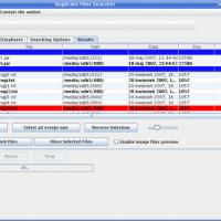 Duplicate Files Searcher (DFS)