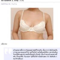 โปรแกรม ระบบคำนวณ ขนาดเต้านม ผู้หญิง