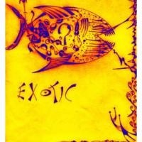 Polaroid (โปรแกรม สร้างภาพโพราลอย อย่างง่ายๆ)