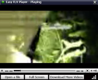 Easy FLV Player