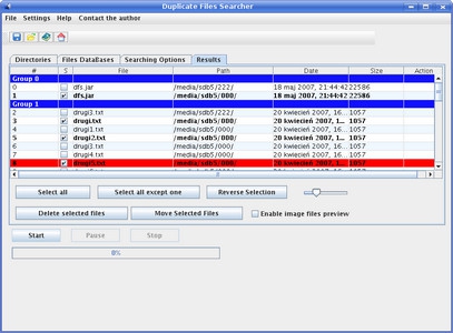 Duplicate Files Searcher (DFS)