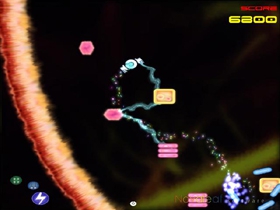 BiologyWars (เกมส์ Arcade)