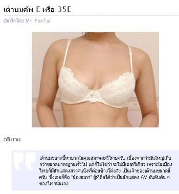 โปรแกรม ระบบคำนวณ ขนาดเต้านม ผู้หญิง