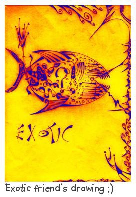 Polaroid (โปรแกรม สร้างภาพโพราลอย อย่างง่ายๆ) Polaroid (โปรแกรม สร้างภาพโพราลอย อย่างง่ายๆ)