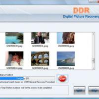 Rescue Digital Camera Pictures (กูไฟล์รูปภาพคืนจากกล้องดิจิตอล)