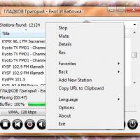 RadioSure (โปรแกรม ฟังเพลง วิทยุออนไลน์ ทางอินเตอร์เน็ท)