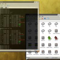 Console (โปรแกรม เหมือน Command Prompt [C:] ที่มีคุณสมบัติมากกว่านั้น)