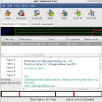wxDownload Fast (โปรแกรมช่วยโหลด ดาวน์โหลดไฟล์ ทีละหลายไฟล์)