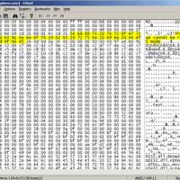 Frhed (Free hex editor) (โปรแกรม แก้ไข ไบนารี่ไฟล์ แจกฟรี)
