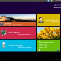 SabyeLife Database Manager (โปรแกรม ช่วยจัดการ ฐานข้อมูล MySQL ให้ง่ายขึ้น)