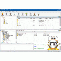 ALFTP - FTP Client Software (โปรแกรม รับส่ง ข้อมูล ระหว่างเครื่องลูก และ เครื่องแม่)