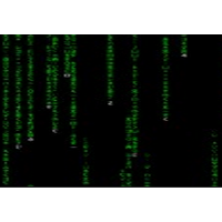 The Matrix Screen Saver (สกรีนเซิฟเวอร์ ในตำนาน สำหรับผู้คลั่งใคล้ The Matrix )