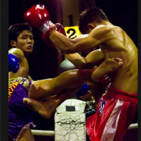Muay Thai illustrated (App เรียน ศิลปะมวยไทย การชกมวยไทย ฝึกมวยไทย)