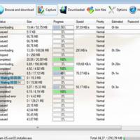 Minpony (โปรแกรม ช่วยดาวน์โหลดไฟล์ จากเว็บฝากไฟล์ อย่าง 4Shared, Megaupload, Rapidshare ฯลฯ)