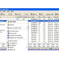 X-NetStat Professional (โปรแกรมช่วยในการแสดงผลสถานะของระบบเครือข่าย)