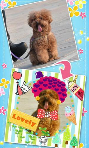 My Photo Sticker (App ตู้สติ๊กเกอร์ แจกสติ๊กเกอร์ เพียบ) : 