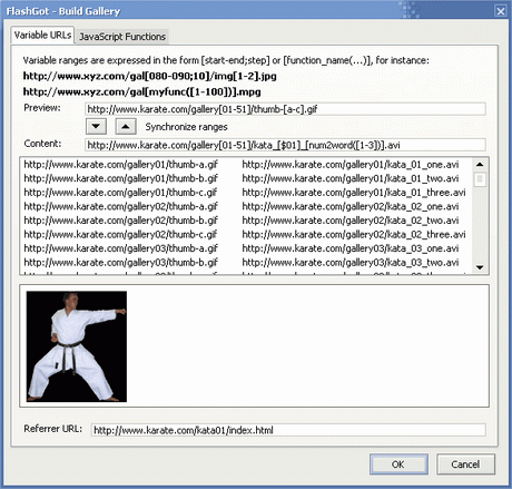 โปรแกรม flashgot โปรแกรม flashgot