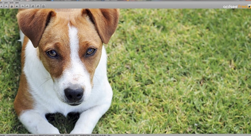 ACDSee Free (โปรแกรม ACDSee Free ดูภาพ สะดวก รวดเร็ว เวอร์ชันฟรี ที่ดีที่สุด)) : 