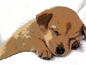 ภาพวาดการ์ตูน