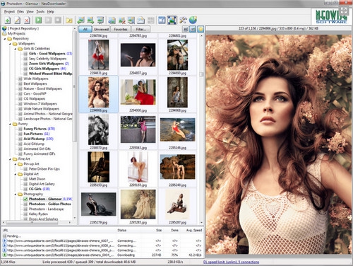 โปรแกรมช่วยดาวน์โหลดรูป NeoDownloader Lite โปรแกรมช่วยดาวน์โหลดรูป NeoDownloader Lite