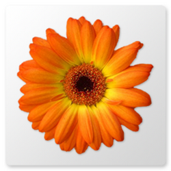 Artweaver Free (โปรแกรม Artweaver Free วาดรูปงานศิลปะ) : 