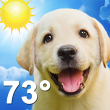 Weather Puppy (App ลูกหมาน้อย รายงานสภาพอากาศ) : 