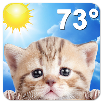 Weather Kitty (App แมวน้อย พยากรณ์อากาศประจําวัน) : 